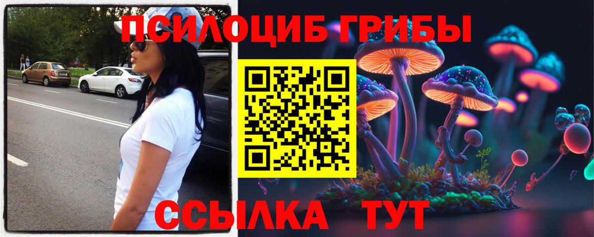 Псилоцибиновые грибы Cubensis  Вход с VPN  цена   Горно-Алтайск 